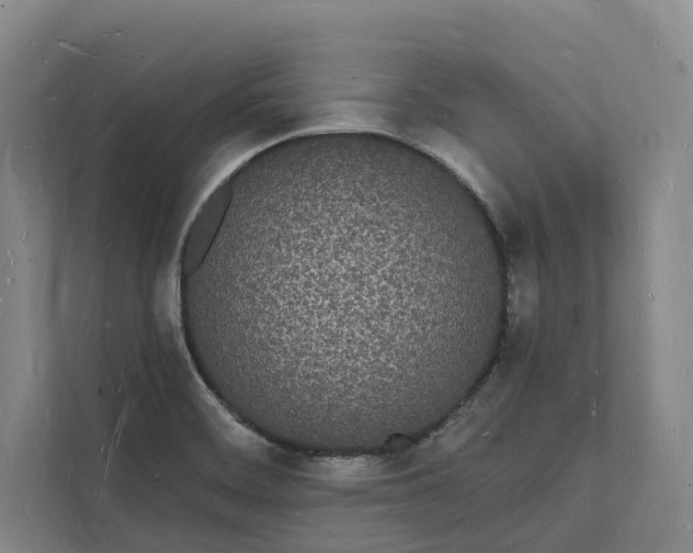 X0000112141468200908211343