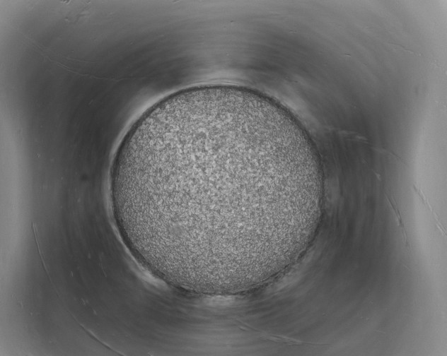 X0000112141470200908211343