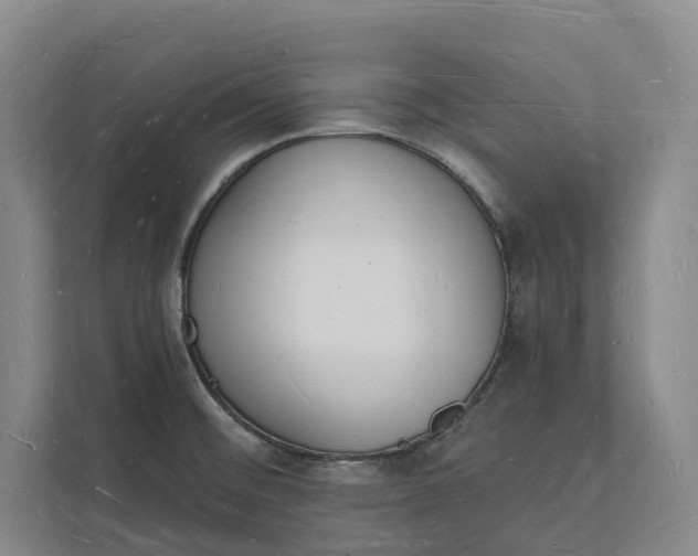 X0000112141476200908211343