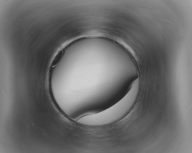 X0000112141477200908211343