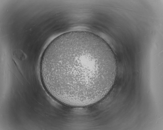 X0000112141478200908211343