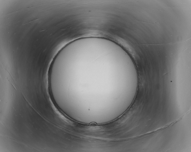 X0000112141479200908211343