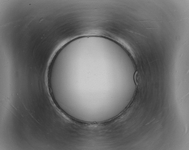 X0000112141480200908211343