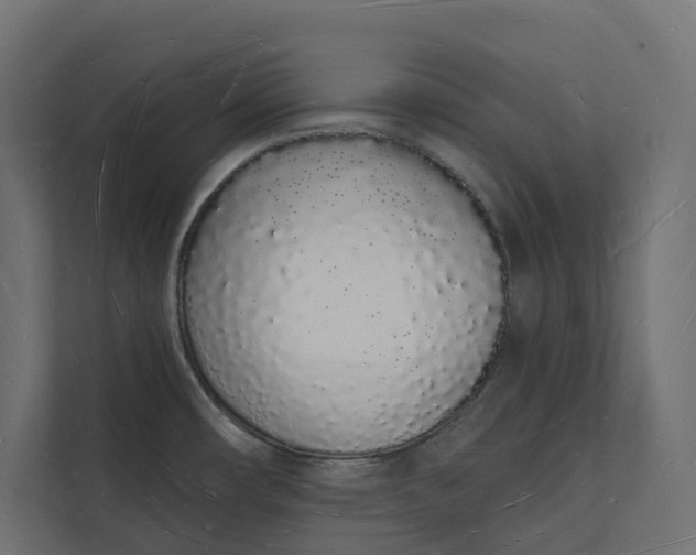 X0000112141482200908211343