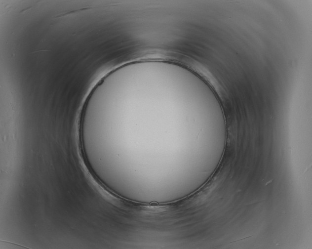 X0000112141483200908211343