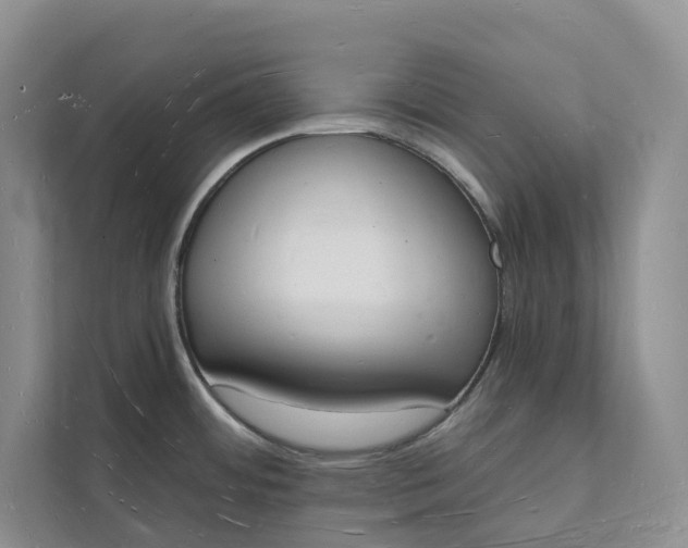 X0000112141484200908211343