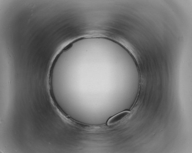 X0000112141485200908211343