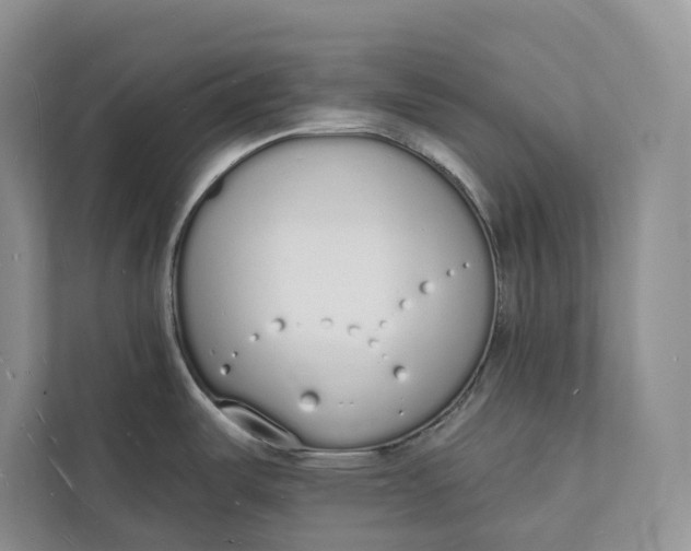 X0000112141487200908211343