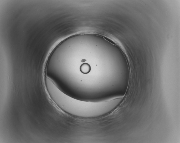 X0000112141488200908211343