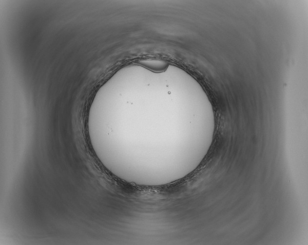 X0000112141489200908211342