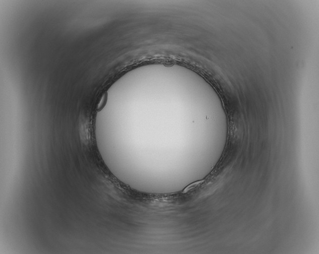 X0000112141490200908211342