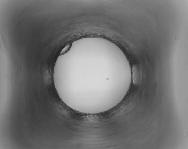 X0000112141491200908211342