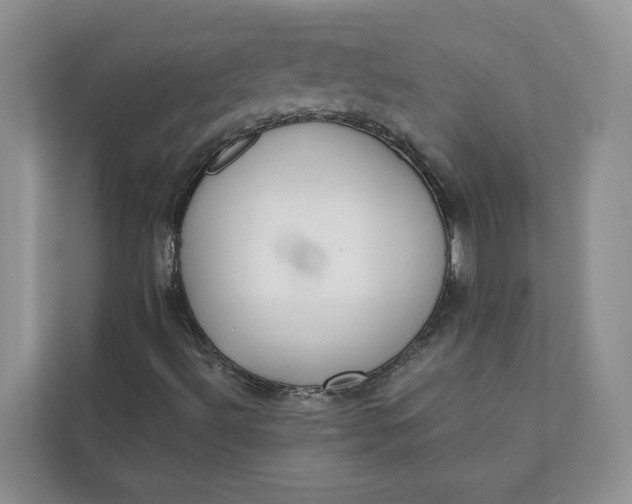 X0000112141492200908211342