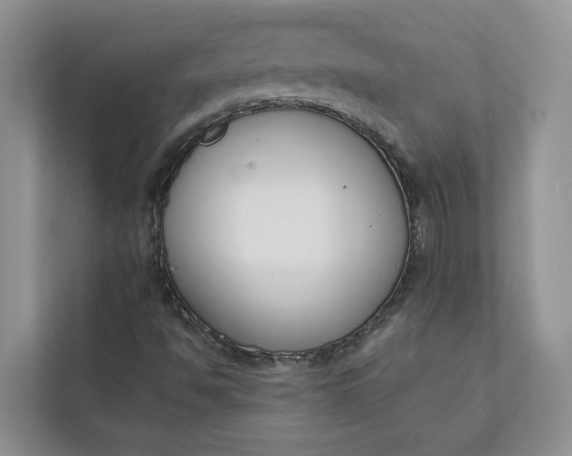 X0000112141494200908211342