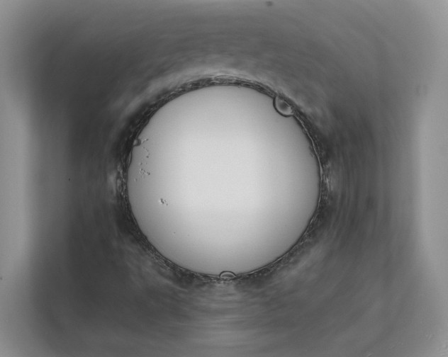 X0000112141495200908211342