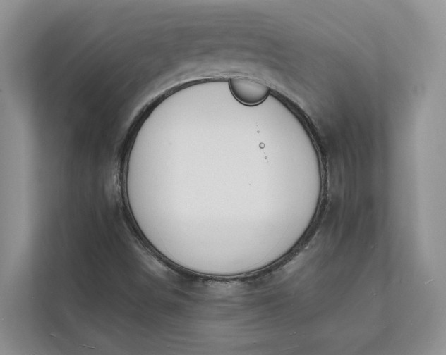 X0000112141498200908211342