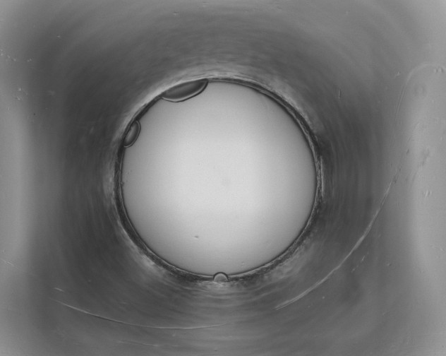 X0000112141500200908211342