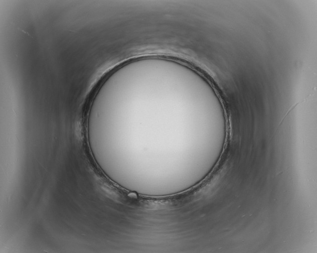 X0000112141501200908211342