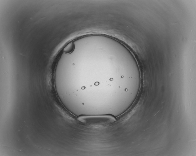 X0000112141502200908211342