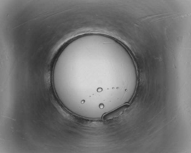 X0000112141503200908211342