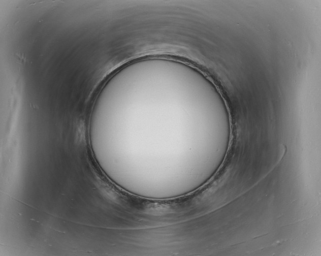 X0000112141505200908211342