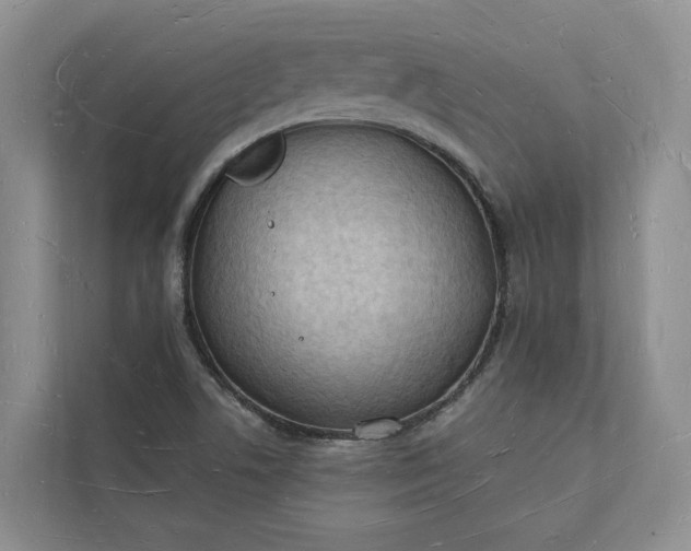 X0000112141506200908211342