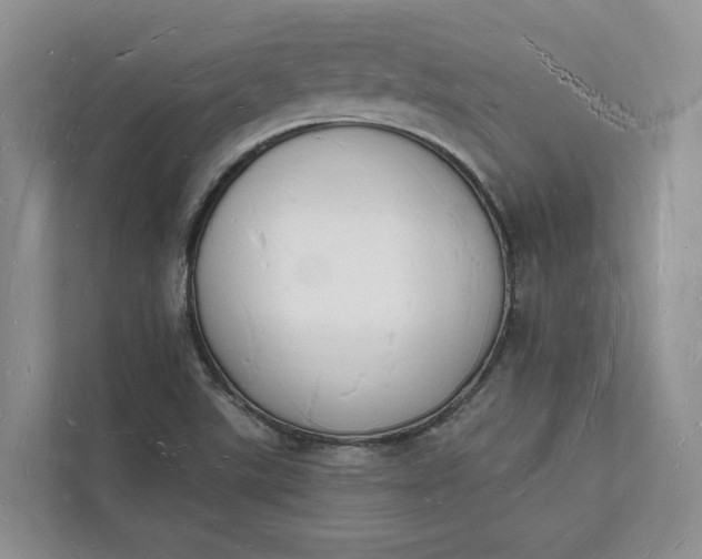 X0000112141507200908211342