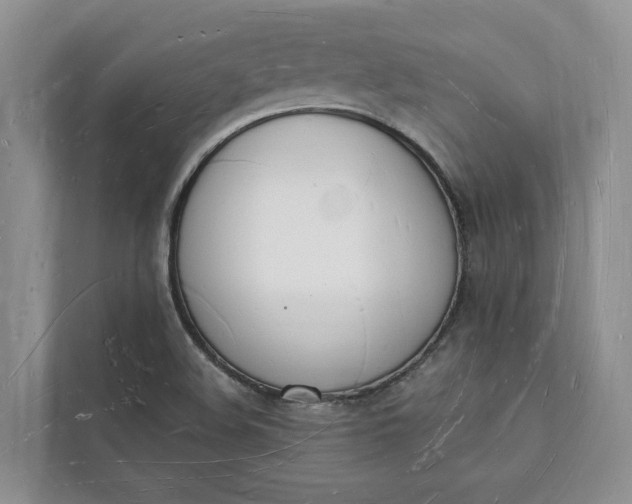 X0000112141508200908211342