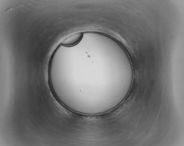 X0000112141512200908211342