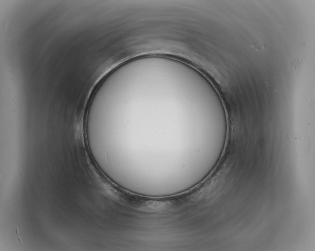 X0000112141513200908211342