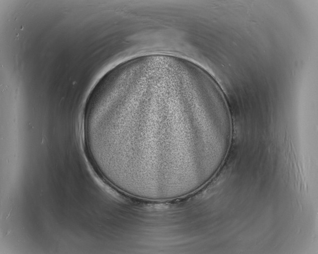 X0000112141515200908211342