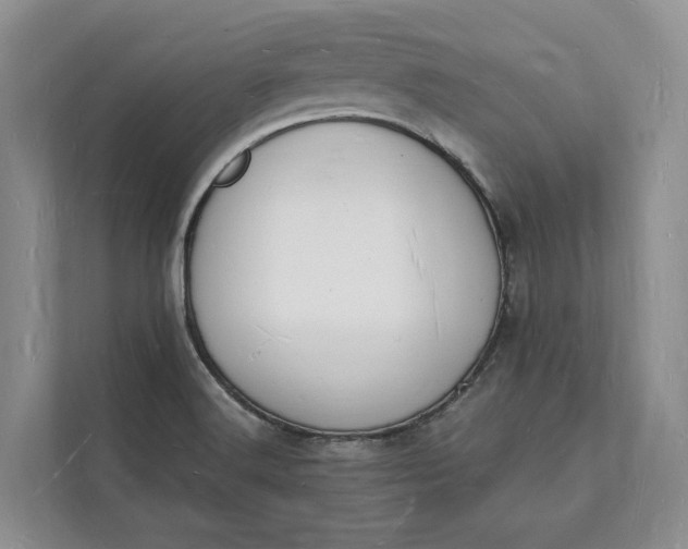 X0000112141516200908211342