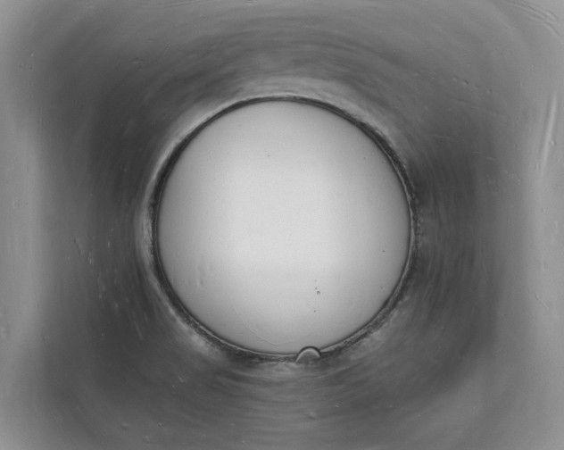 X0000112141517200908211342