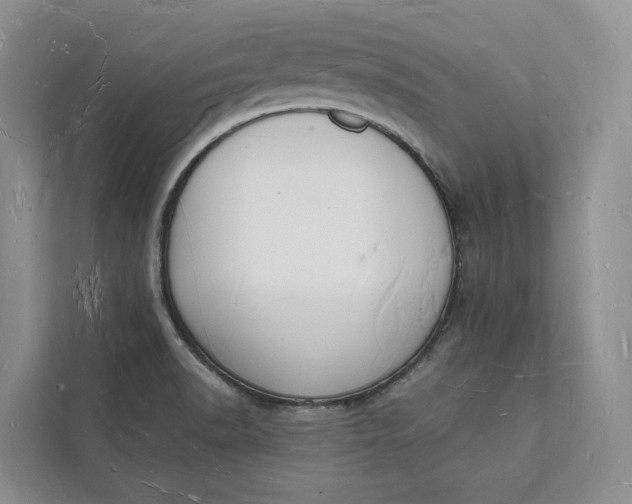 X0000112141518200908211342