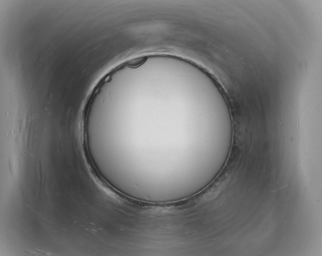 X0000112141519200908211342