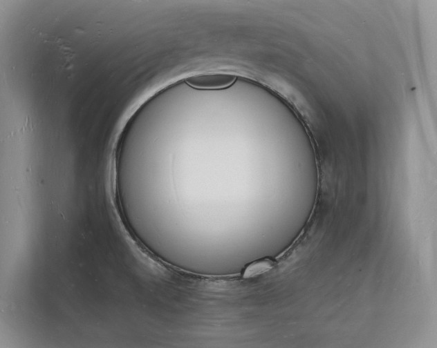 X0000112141520200908211342