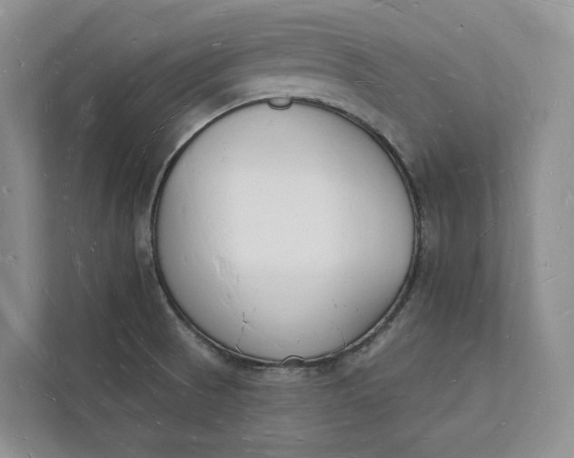 X0000112141521200908211342