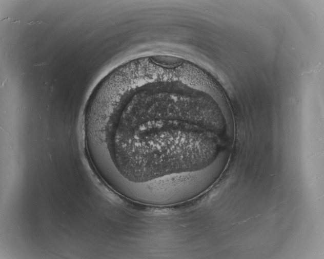 X0000112141522200908211342