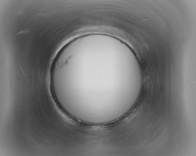 X0000112141523200908211342