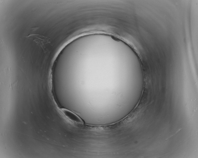 X0000112141524200908211342