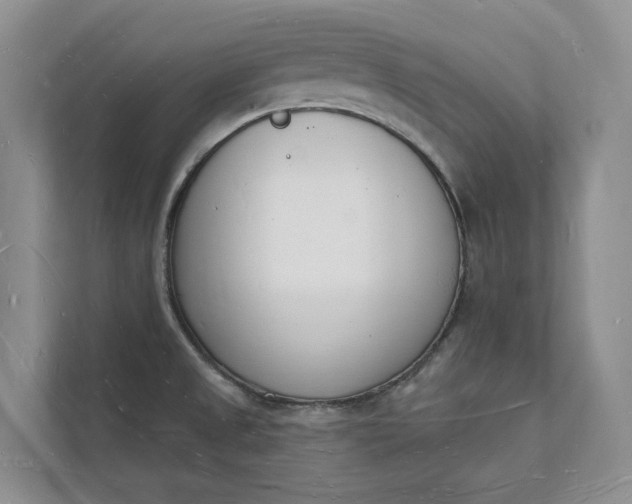 X0000112141525200908211342