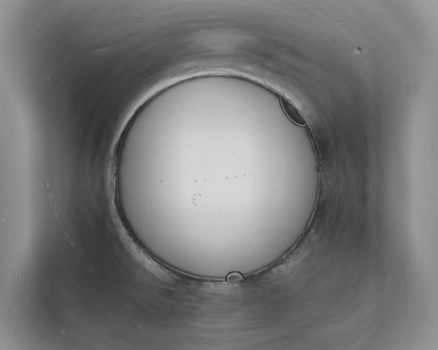 X0000112141526200908211343