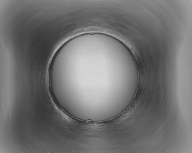 X0000112141527200908211343