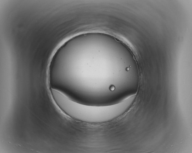 X0000112141528200908211343