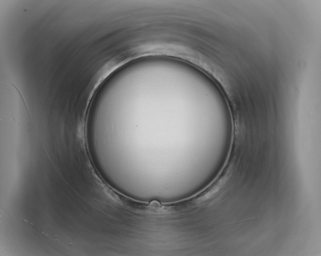 X0000112141529200908211343