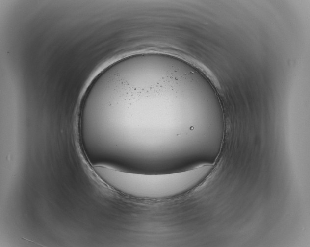 X0000112141530200908211343