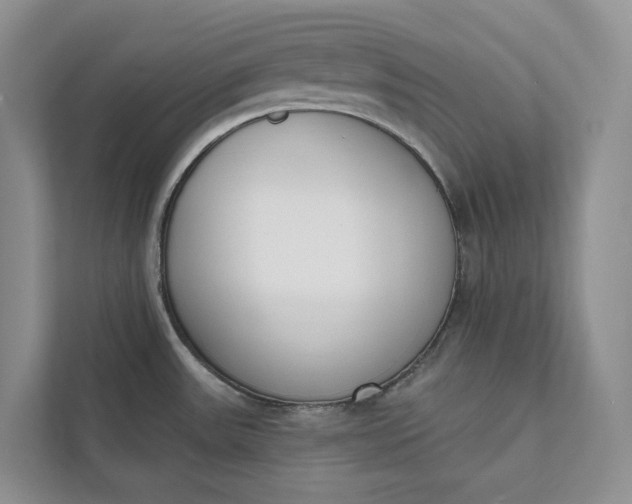 X0000112141531200908211343