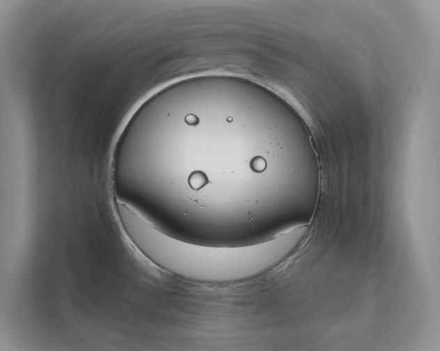 X0000112141532200908211343