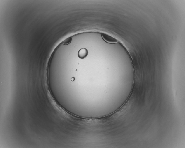 X0000112141534200908211343