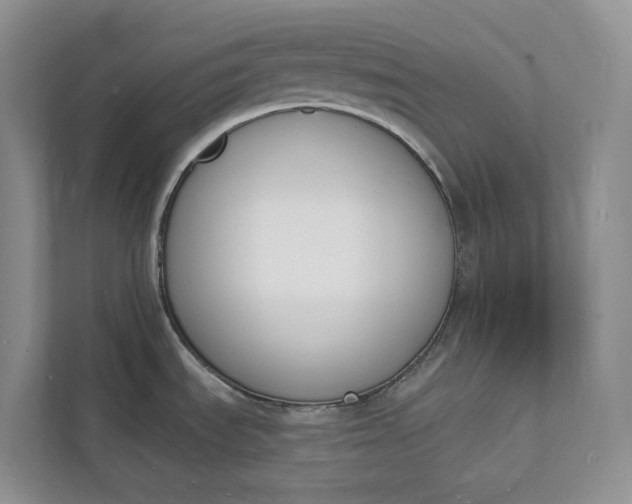 X0000112141535200908211343